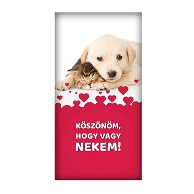 Köszönöm, hogy vagy nekem! - feliratos csoki (Chocolips) 90gr