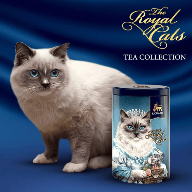 Richar Royal fémdobozos fekete tea - Royal Cats (34gr)